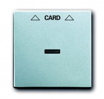 1710-0-3670  Kryt spínače kartového, hliníková stříbrná