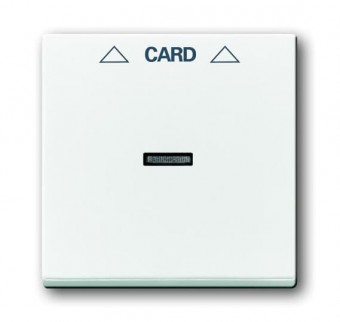 1710-0-3641  Kryt spínače kartového, studio bílá