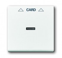1710-0-3641  Kryt spínače kartového, studio bílá