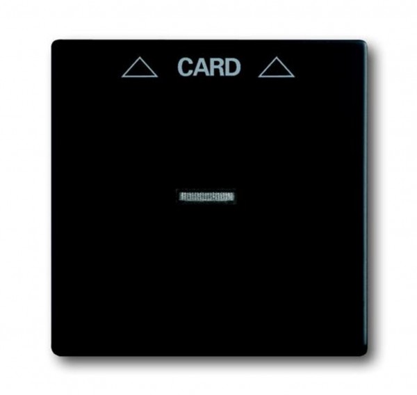 1710-0-3905  Kryt spínače kartového, mechová černá