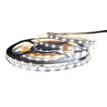 pásek LED ML-121.613.60.0 60LED/m 14,4W/m IP68 studená bílá