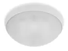 24124-pan_galia