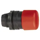 29355-schneider_101313