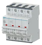 41310-oez_minia_ltn-3n~7