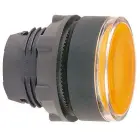 4169-schneider_110390