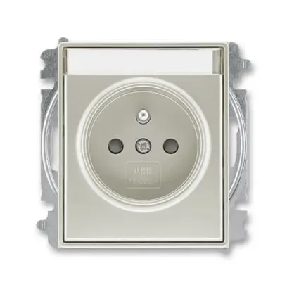 zásuvka jednonásobná s ochranným kolíkem, s clonkami, s popisovým polem (typ 6619); starostříbrná 6619E-A06352 32, design TIME