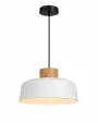 336815630411875-zavesna svitidla
