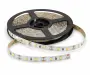 336815630411927-led pasky