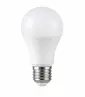 336815630411936-led zarovka