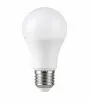 336815630411936-led zarovka
